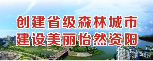 大鸡巴小穴网站创建省级森林城市 建设美丽怡然资阳